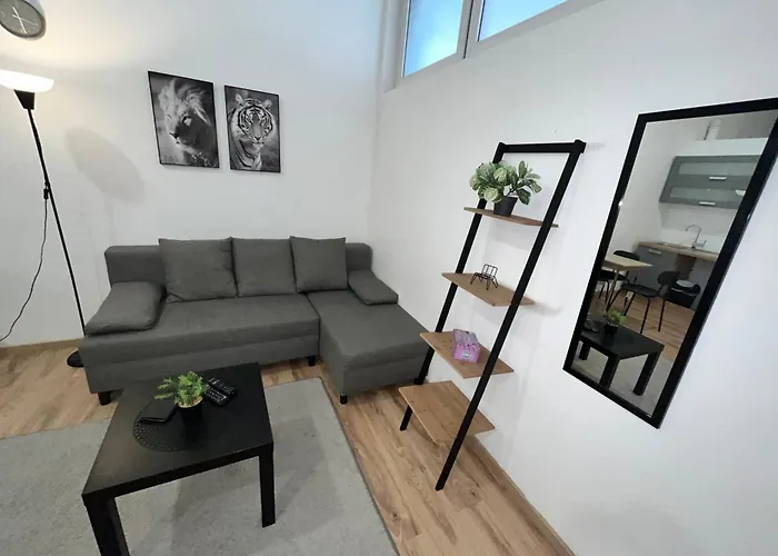 Apartment Central 10C 40Qm Wi-Fi Free Parking Calm Back House